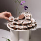 New style chocolate