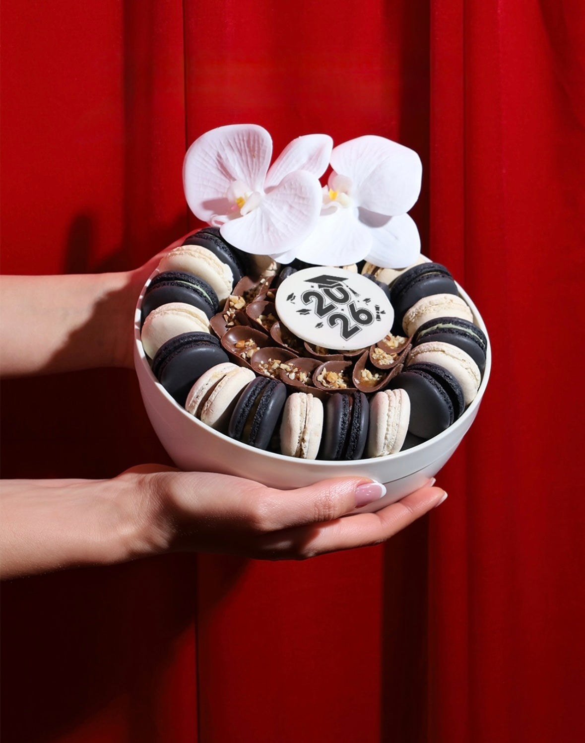 Macarons & Chocolate